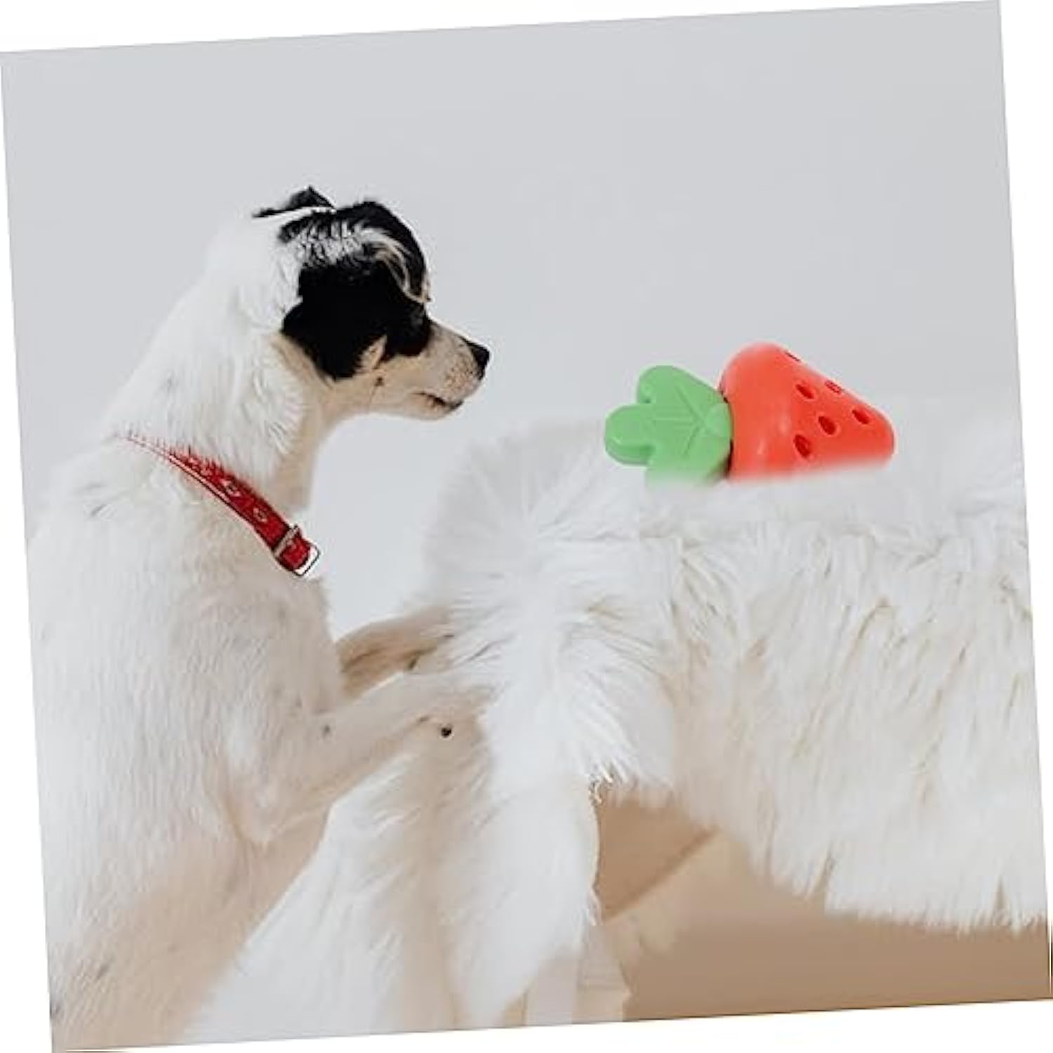 KFX-7429309 Teething Toy for Small Dogs - Chewy Design for Oral Health and Comfort