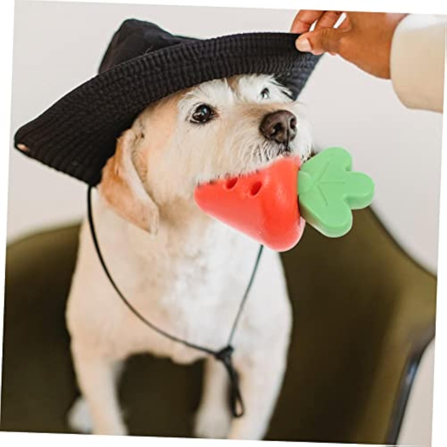 KFX-7429309 Teething Toy for Small Dogs - Chewy Design for Oral Health and Comfort