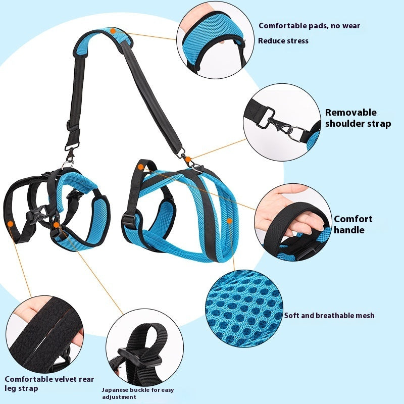 KFX-7433405 Durable Polyester Blue Pet Hand Holding Rope for Dogs