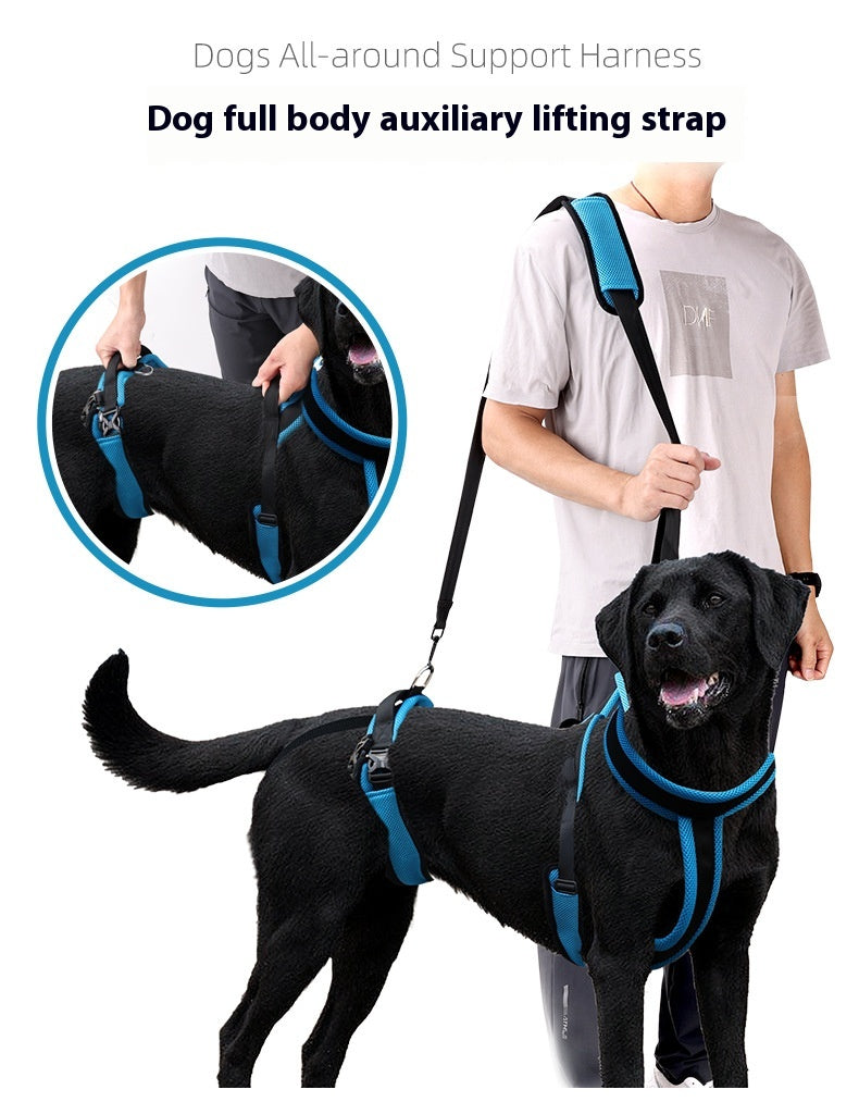 KFX-7433405 Durable Polyester Blue Pet Hand Holding Rope for Dogs