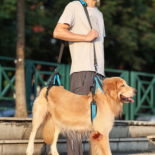 KFX-7433405 Durable Polyester Blue Pet Hand Holding Rope for Dogs