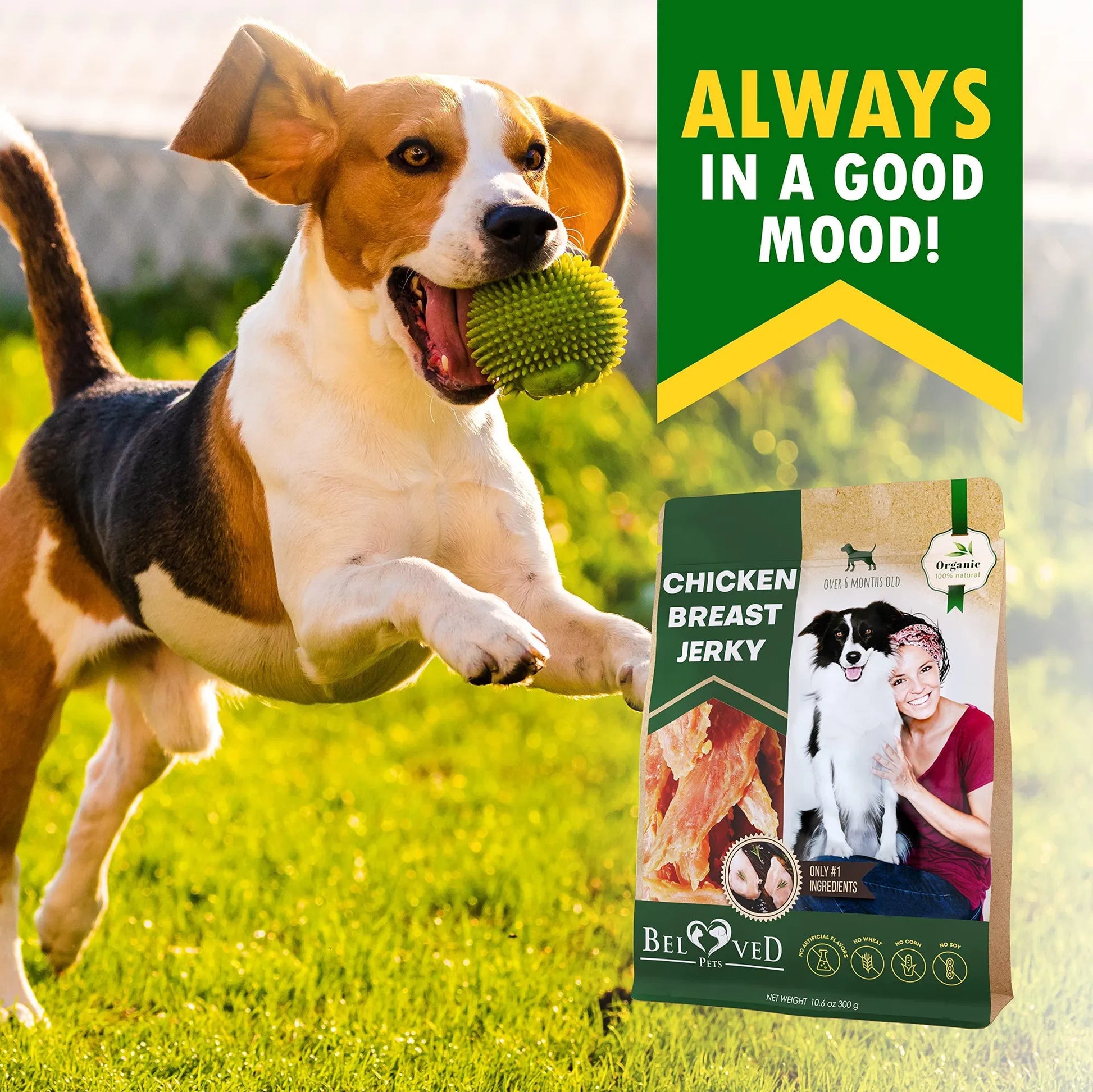 KFX-7433661 All-Natural Chicken Jerky Dog Treats - Grain-Free, High Protein, Soft Chews for Dogs