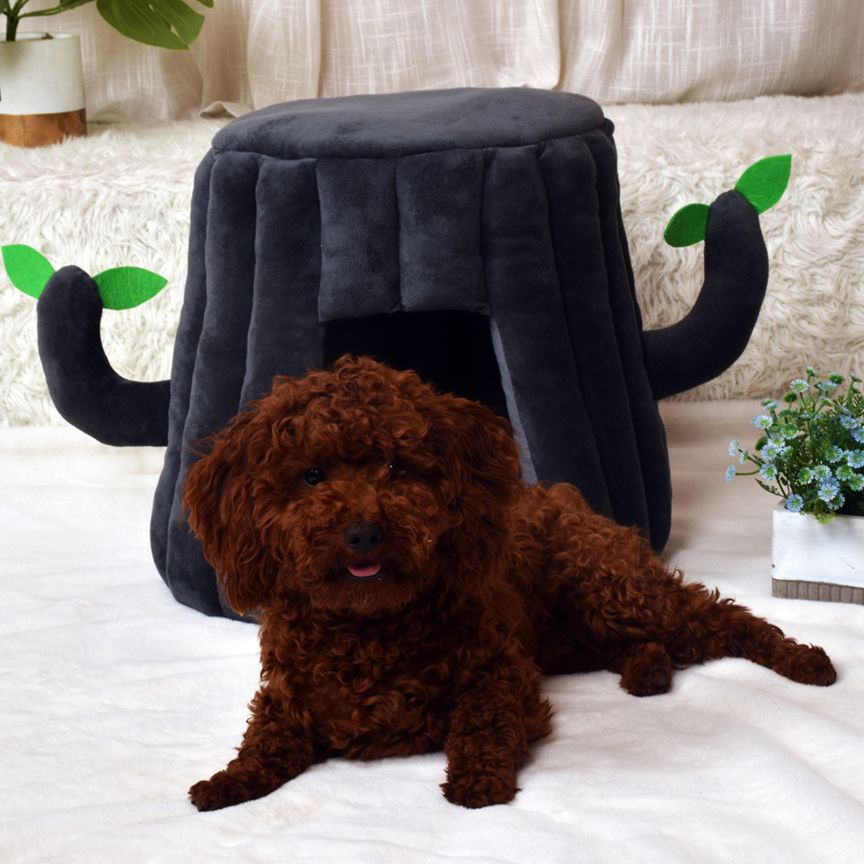 KFX-7435069 Cozy Tree-Shaped Cat Nest Made of Cotton and Plush for Play and Rest, Brown