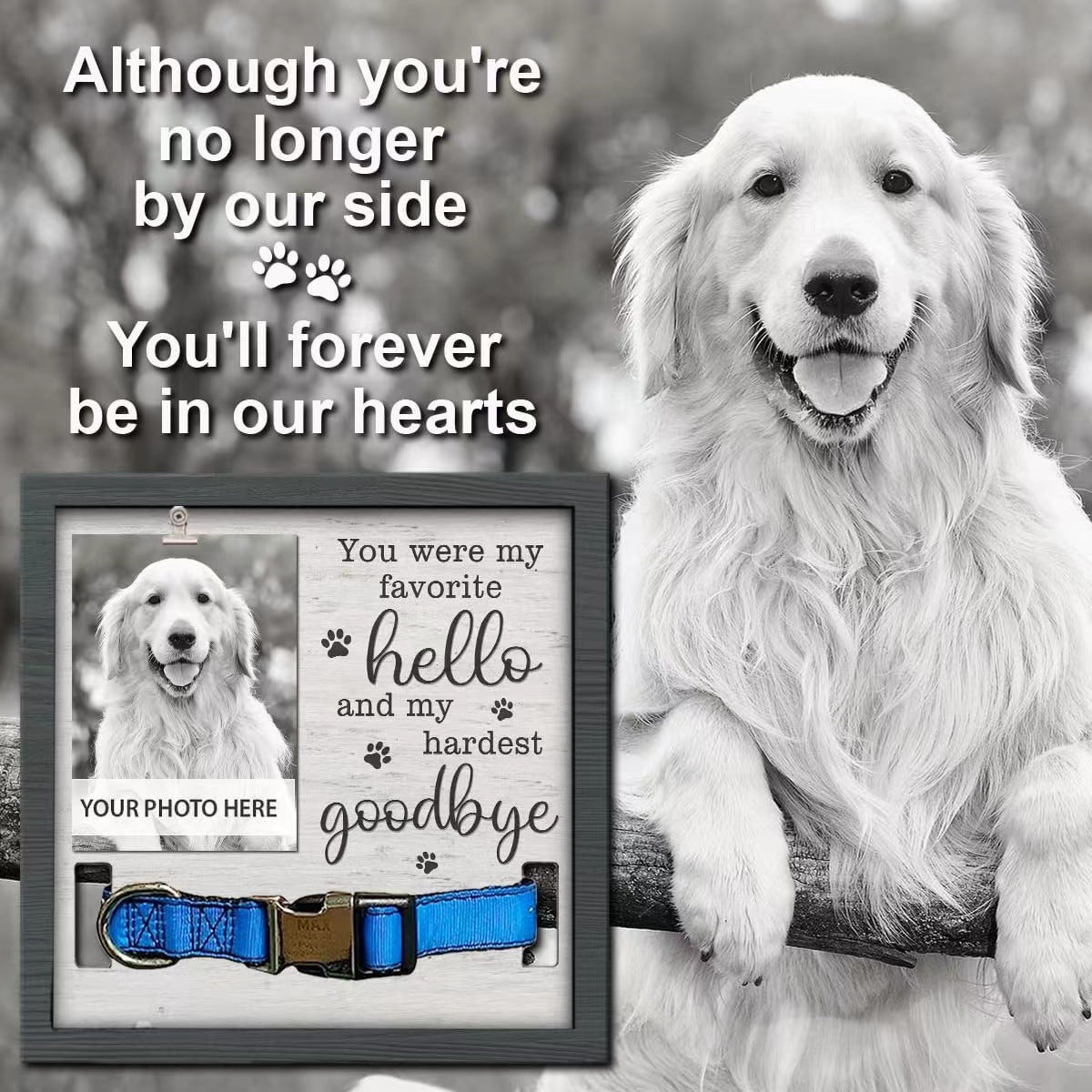 KFX-7441341 Wooden Pet Commemorative Plaque with Dog Collar Photo Frame in Modern Style
