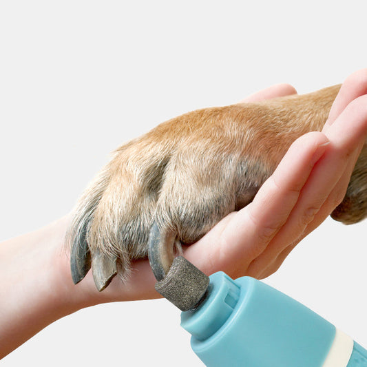 KFX-7458621 Dual-Purpose Pet Nail Polisher and Hair Trimmer with USB Charger and Accessories