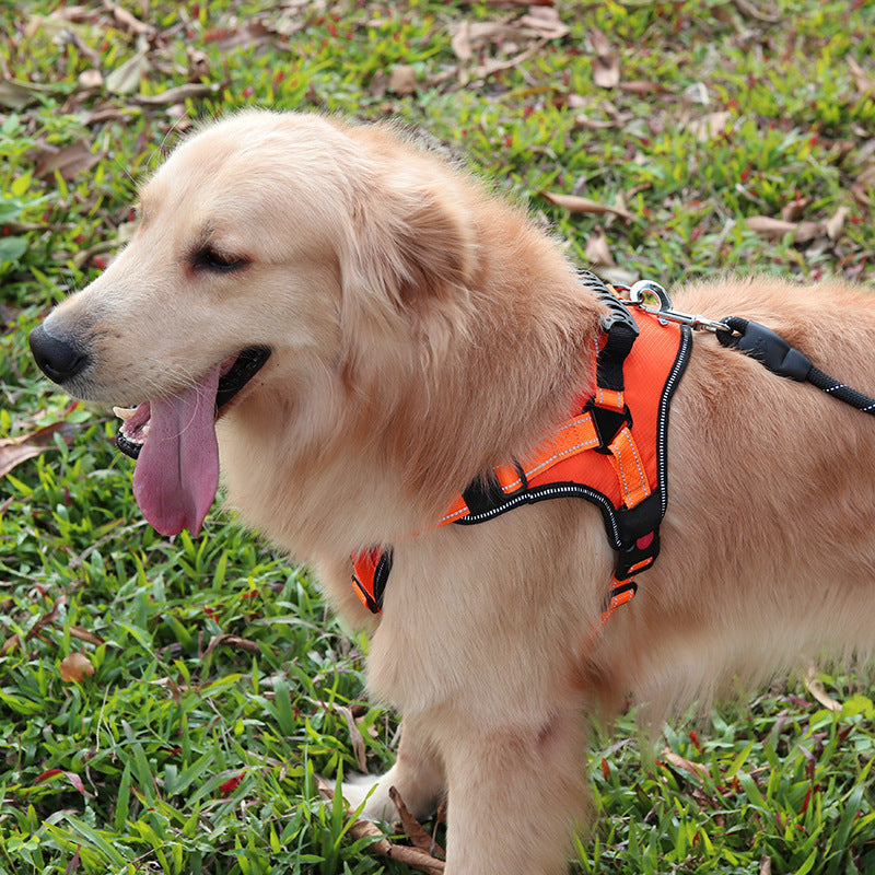 KFX-7459901 Adjustable No-Pull XL Dog Harness for Larger Pets - Comfortable & Durable Design