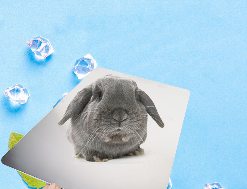 KFX-7462461 Cooling Aluminum Plate for Rabbits and Guinea Pigs - Available in Various Sizes and Ice Box Option