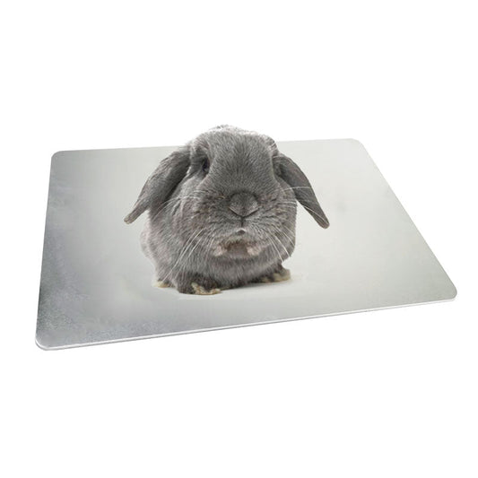 KFX-7462461 Cooling Aluminum Plate for Rabbits and Guinea Pigs - Available in Various Sizes and Ice Box Option