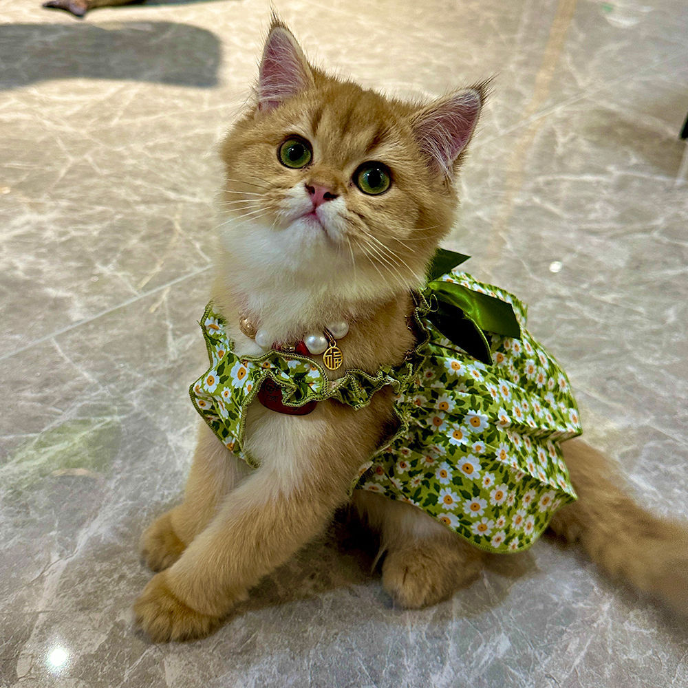 KFX-7473725 Pet Spring and Summer Strap Dress in Green and Pink Patterns, Cotton Fabric, Sizes XS to XL