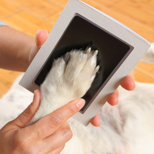 KFX-7479357 Children and Pets Commemorative Photo Album with DIY Fingerprint Rubbing Postcards