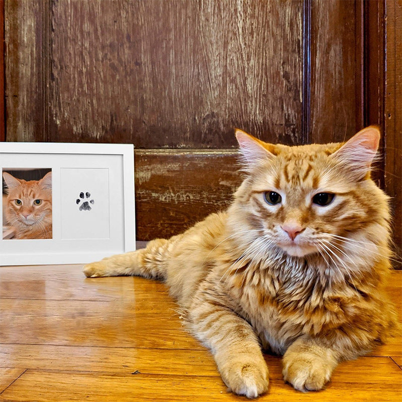KFX-7479357 Children and Pets Commemorative Photo Album with DIY Fingerprint Rubbing Postcards