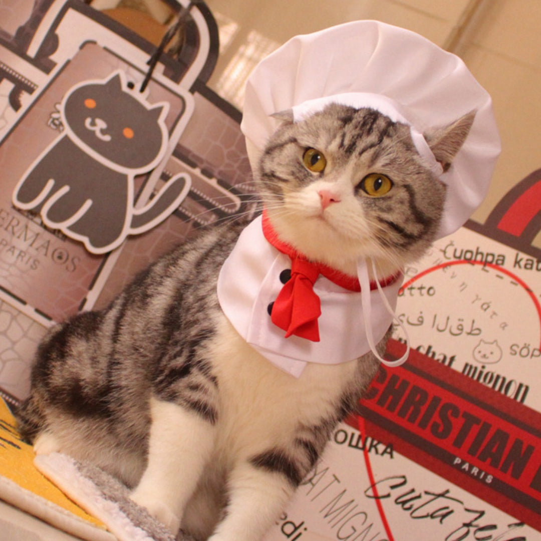 KFX-7482429 Chef Cap Pet Cloak for Dogs and Cats - Monochrome Satin Outfit