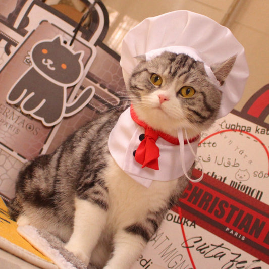 KFX-7482429 Chef Cap Pet Cloak for Dogs and Cats - Monochrome Satin Outfit