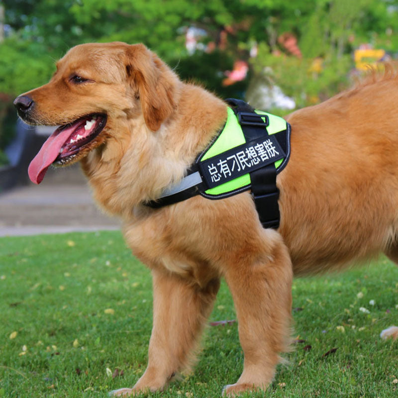 KFX-7483709 Adjustable Nylon Pet Chest Harness with Leash - Various Colors and Sizes Available