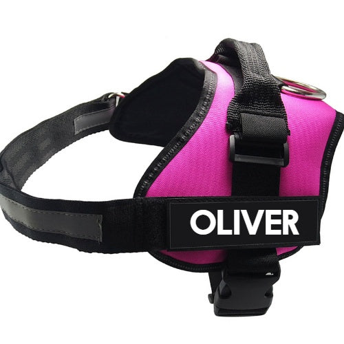 KFX-7483709 Adjustable Nylon Pet Chest Harness with Leash - Various Colors and Sizes Available