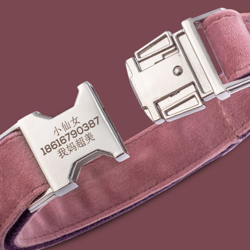 KFX-7489597 Pink and Purple Adjustable Dog Collar, Comfortable Fit for Small to Medium Dogs