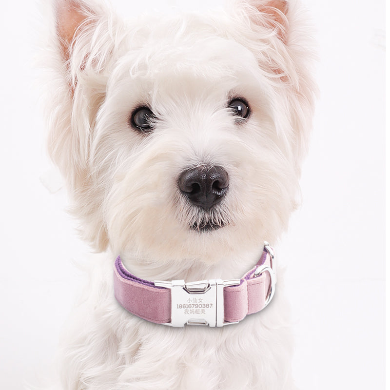 KFX-7489597 Pink and Purple Adjustable Dog Collar, Comfortable Fit for Small to Medium Dogs