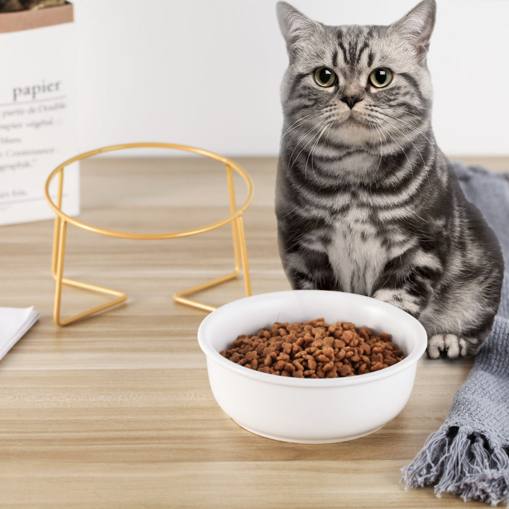 KFX-7493565 Tilted Ceramic Cat Bowl with Stainless Steel Base - Modern Design for Elevated Feeding