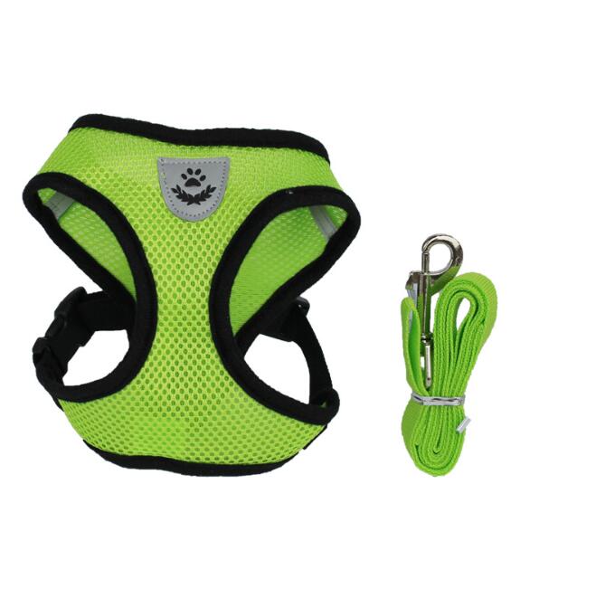 KFX-7498941 Breathable Mesh Pet Car Seat Belt Leash for Safe Walks in Any Weather