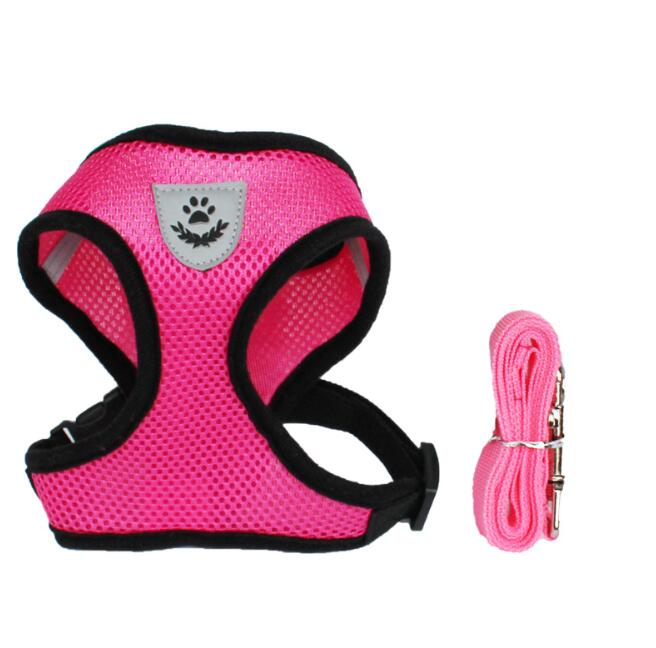 KFX-7498941 Breathable Mesh Pet Car Seat Belt Leash for Safe Walks in Any Weather