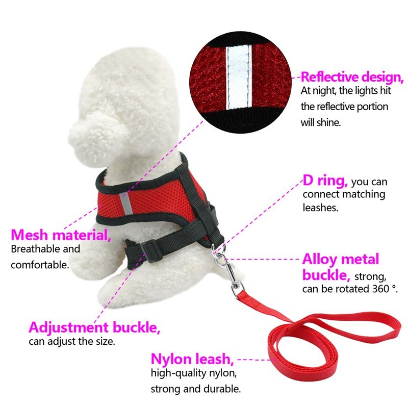 KFX-7498941 Breathable Mesh Pet Car Seat Belt Leash for Safe Walks in Any Weather