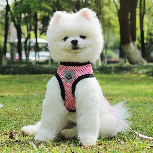 KFX-7498941 Breathable Mesh Pet Car Seat Belt Leash for Safe Walks in Any Weather