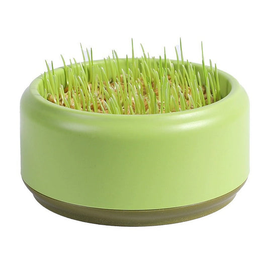 KFX-7499197 Hydroponic Cat Grass Kit with 5 Seed Packs and Cup - Potted Soilless Variety