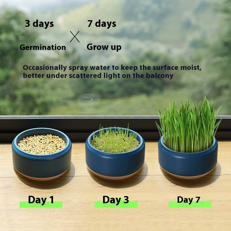 KFX-7499197 Hydroponic Cat Grass Kit with 5 Seed Packs and Cup - Potted Soilless Variety