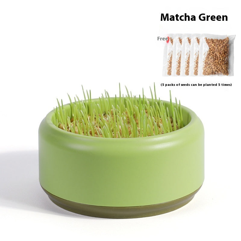 KFX-7499197 Hydroponic Cat Grass Kit with 5 Seed Packs and Cup - Potted Soilless Variety