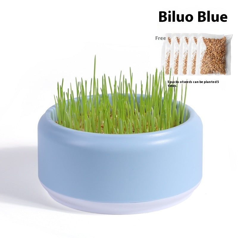 KFX-7499197 Hydroponic Cat Grass Kit with 5 Seed Packs and Cup - Potted Soilless Variety