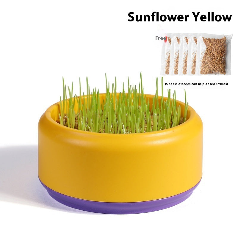 KFX-7499197 Hydroponic Cat Grass Kit with 5 Seed Packs and Cup - Potted Soilless Variety