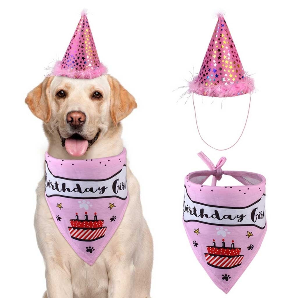 KFX-7512253 Pet Birthday Party Hat and Saliva Towel Set for Dogs and Cats