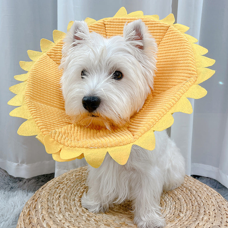 KFX-7518781 Soft Anti-Licking Headgear for Small and Medium Dogs - Sunflower Design, Size S/M