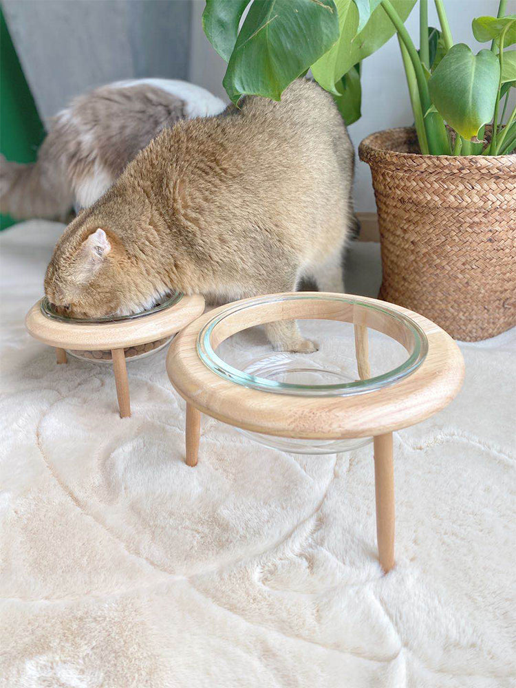 KFX-7520573 Elegant Glass and Beech Pet Bowl - Available in Large (800ml) and Small (480ml) for Cats and Dogs
