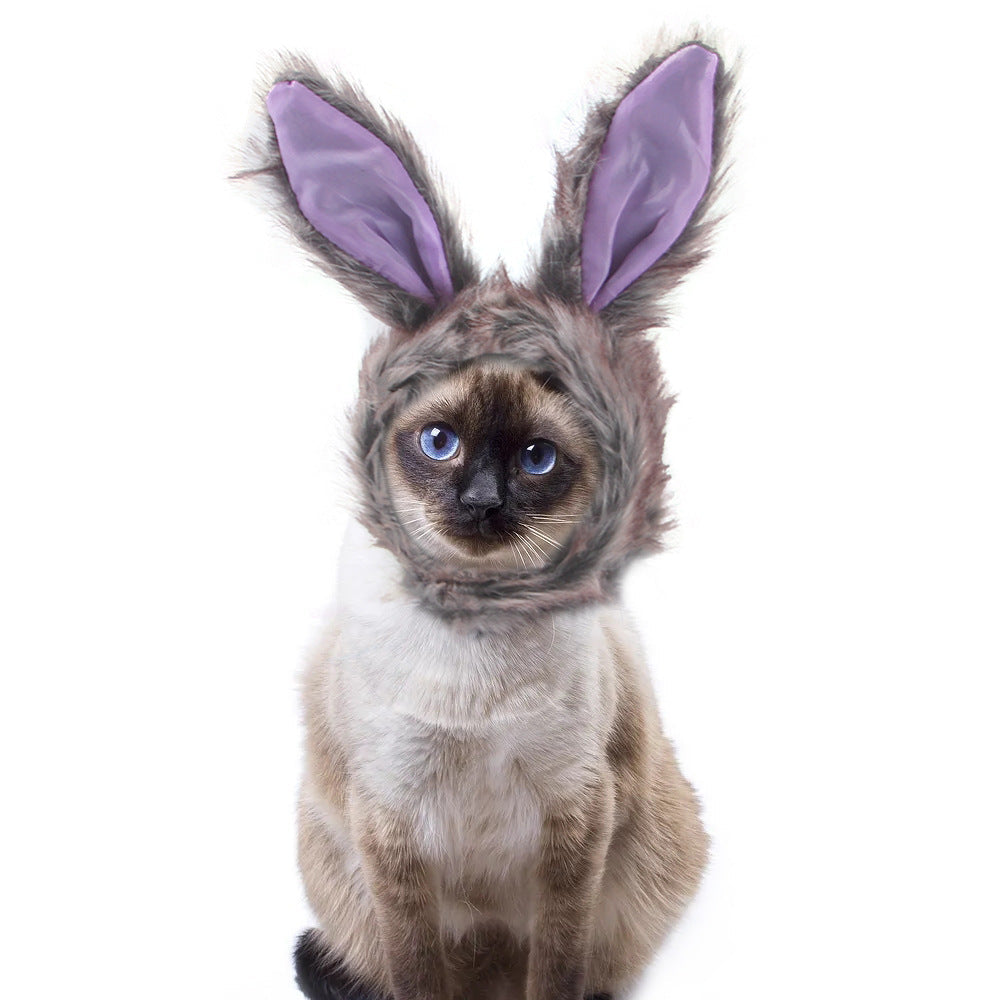 KFX-7520957 Adorable Sunflower Cat Headdress Wig for Pets - Cute Dress-Up Hat for Halloween and Seasonal Celebrations