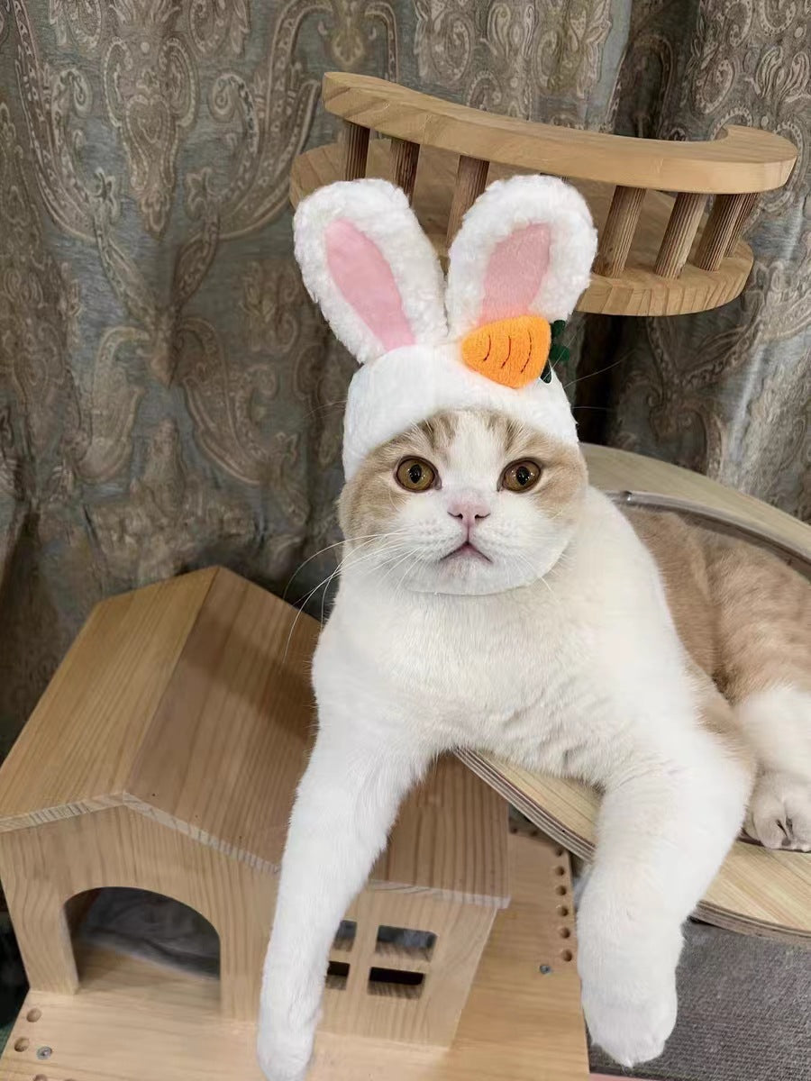 KFX-7520957 Adorable Sunflower Cat Headdress Wig for Pets - Cute Dress-Up Hat for Halloween and Seasonal Celebrations