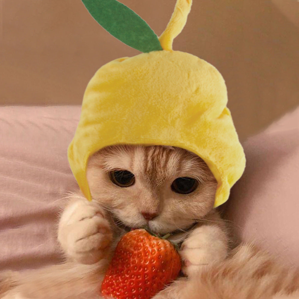 KFX-7520957 Adorable Sunflower Cat Headdress Wig for Pets - Cute Dress-Up Hat for Halloween and Seasonal Celebrations