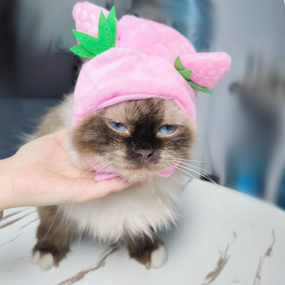 KFX-7520957 Adorable Sunflower Cat Headdress Wig for Pets - Cute Dress-Up Hat for Halloween and Seasonal Celebrations