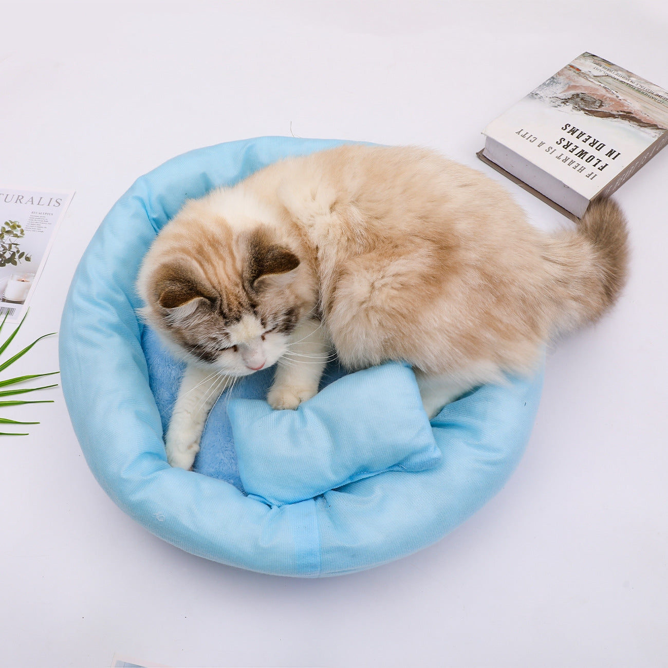 KFX-7522237 Cozy Egg Tart Cat Nest for Winter | Plush, Versatile Design in Gray, Pink, Blue