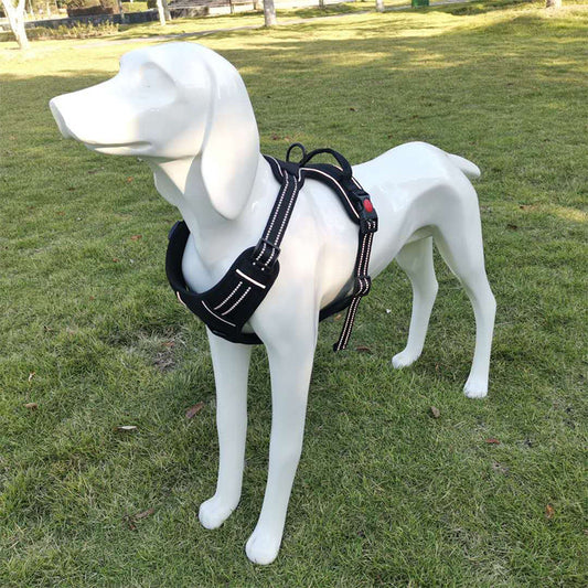 KFX-7525437 Adjustable Oxford Cloth Dog Chest Harness with Leash in Black, Purple, and Orange