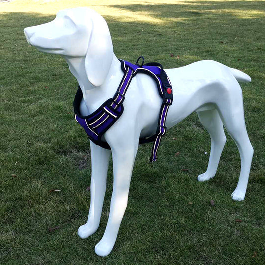 KFX-7525437 Adjustable Oxford Cloth Dog Chest Harness with Leash in Black, Purple, and Orange