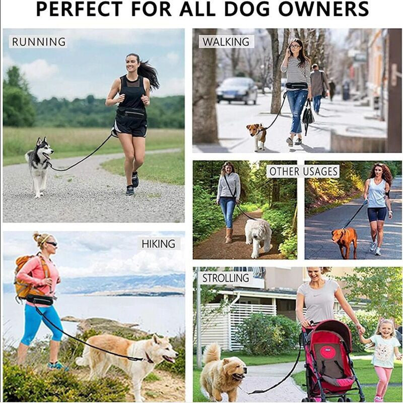 KFX-7525949 Nylon Pet Purse Leash for Comfortable Dog Walking - Adjustable Waist Bag and Traction Rope Combo