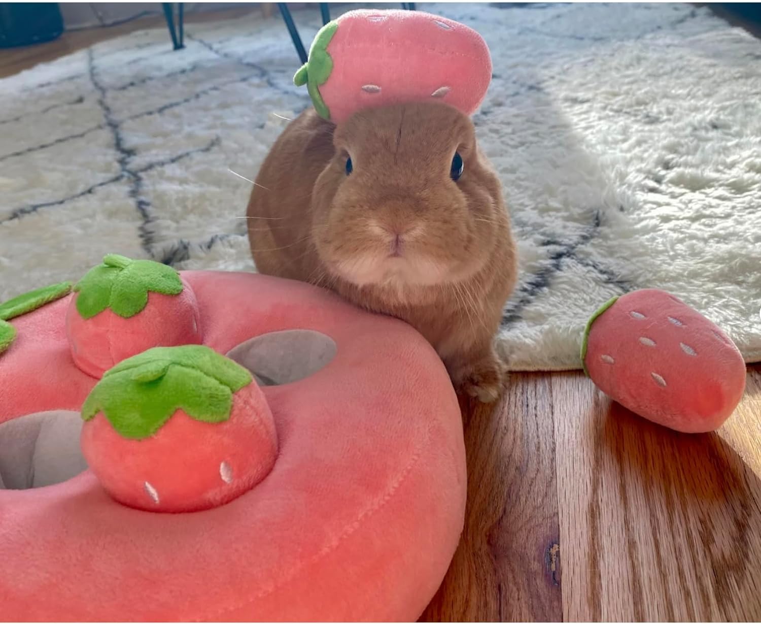 KFX-7527613 Interactive Plush Strawberry Snuffle Mat for Dogs, Bunnies, and Guinea Pigs - Feed, Entertain, and Stimulate