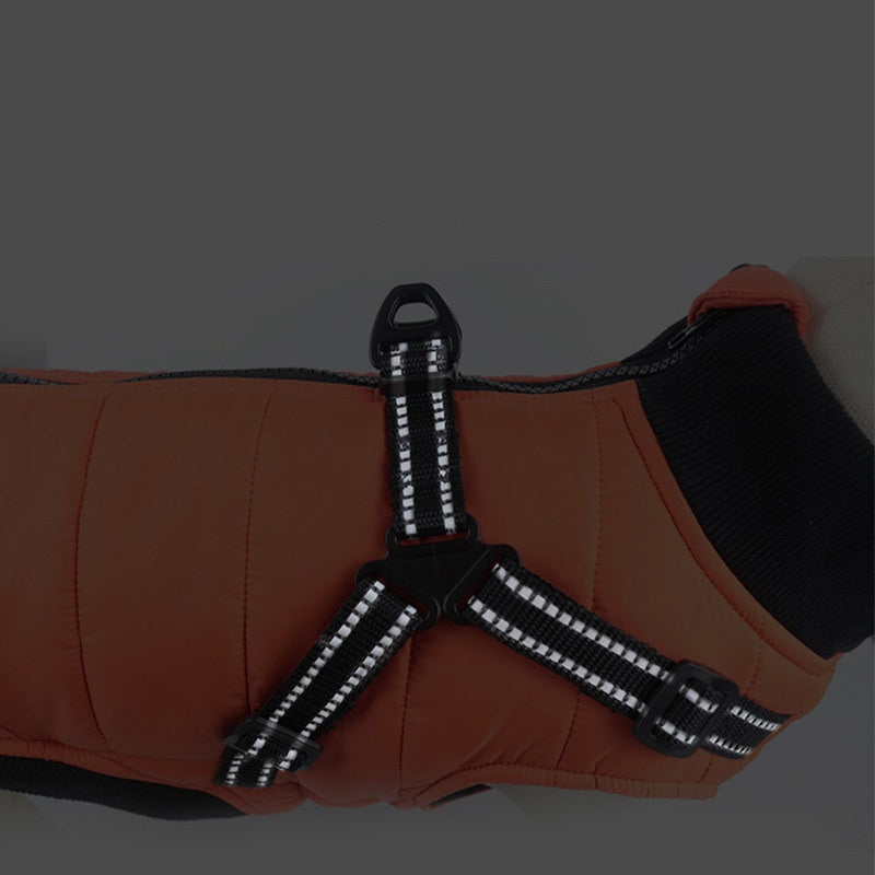 KFX-7530557 Warm Cotton-Padded Dog Coat for Autumn and Winter in Blue, Orange, and Gray - Multiple Sizes Available