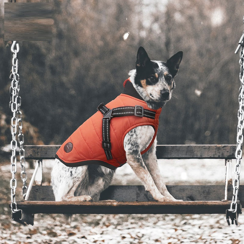 KFX-7530557 Warm Cotton-Padded Dog Coat for Autumn and Winter in Blue, Orange, and Gray - Multiple Sizes Available