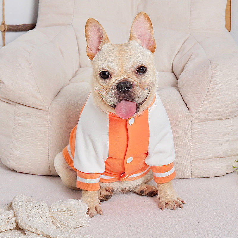 KFX-7538237 Casual Cotton Baseball Suit for Small Dogs in Orange - Teddy Bugs Law Design, Available in Multiple Sizes