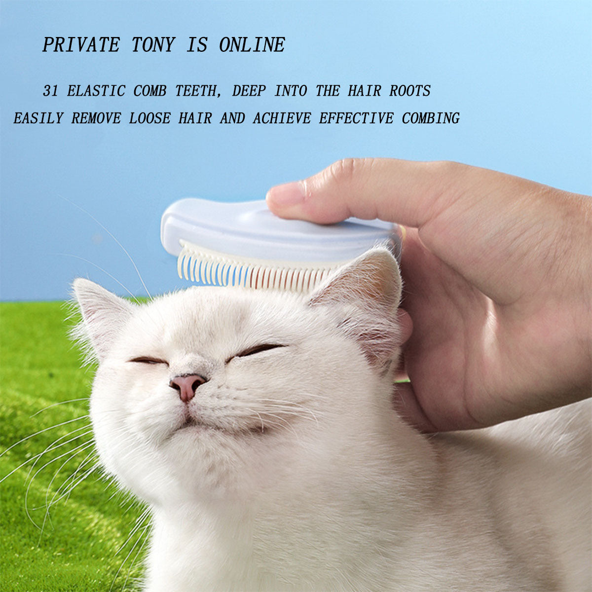 KFX-7539133 Small Pet Massage Brush for Cats and Dogs to Remove Loose Hair