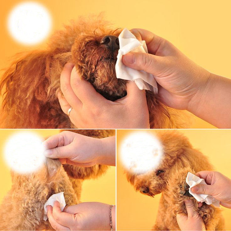 KFX-7539517 Gentle Pet Wipes for Claw Cleaning - 100 Count, 15x20cm