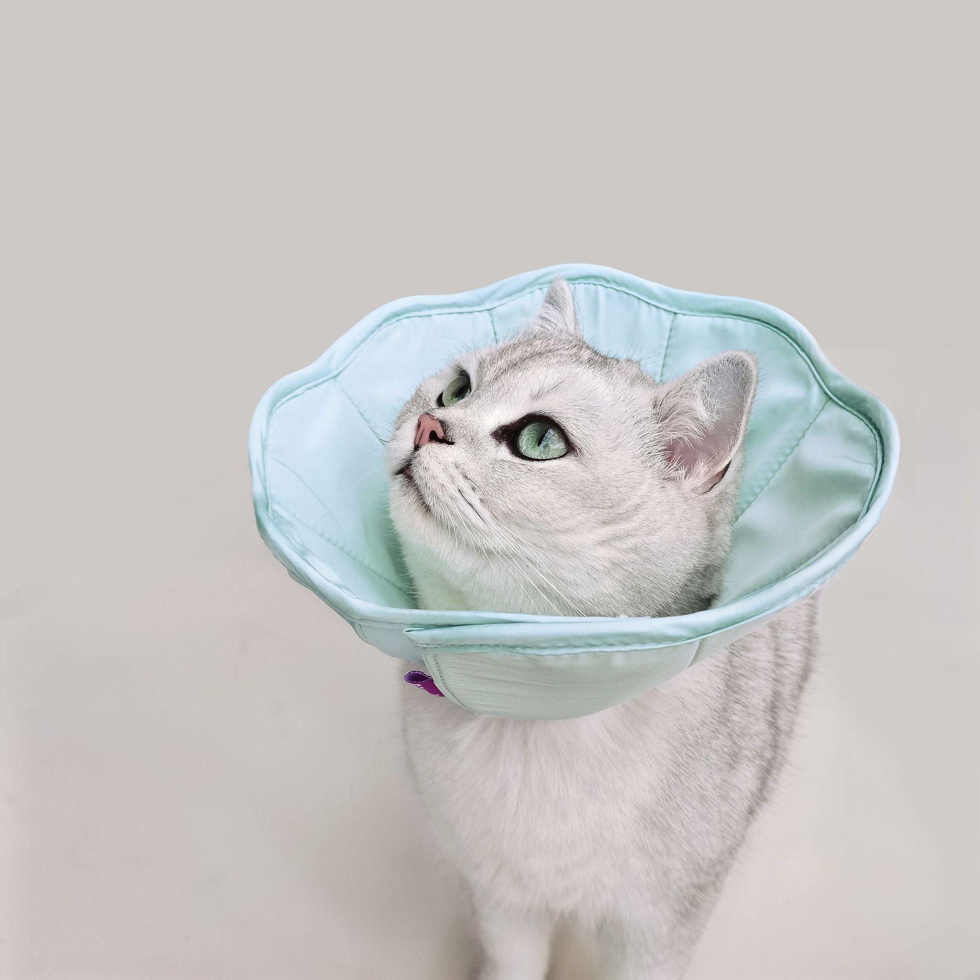 KFX-7539645 Pink and Green Pet Postoperative Wound Collar - Anti-Scratch and Licking, 1 Size S/M/L/XL