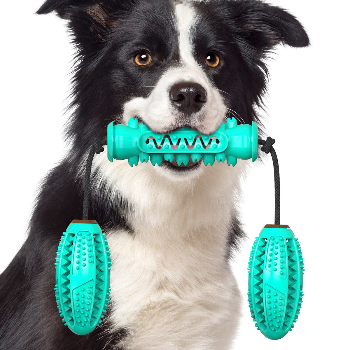 KFX-7540285 Durable TPR Chew Stick for Dogs - Teeth Cleaning Dumbbell Design in Red, Blue, and Green